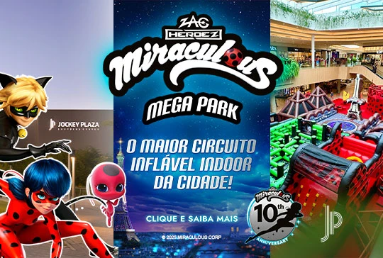 Imagem miraculous