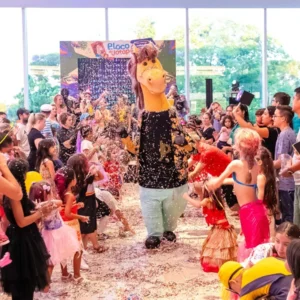 Imagem destacada do post