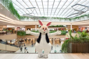 Imagem destacada do post